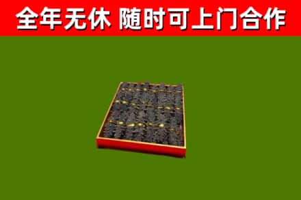虎门镇回收海参